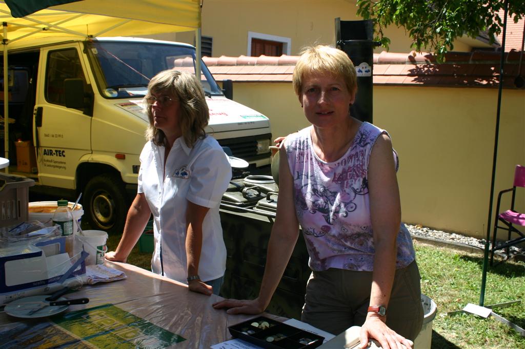 2010-07-11 12. Oldtimertreffen in Pinkafeld